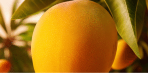 Health Benefits of Mangoes